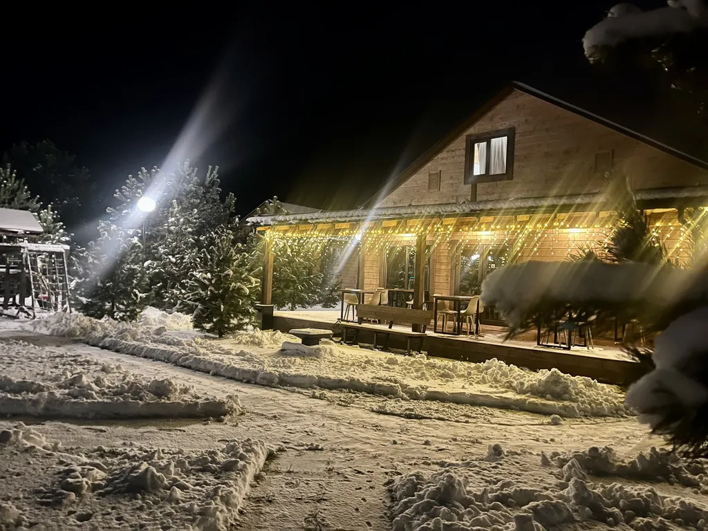 Трёхкомнатный коттедж в лесу у пруда