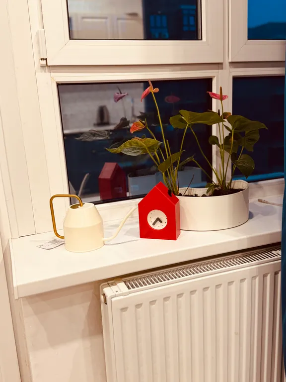 Студия на море 800 ступенек, ласточкины гнезда