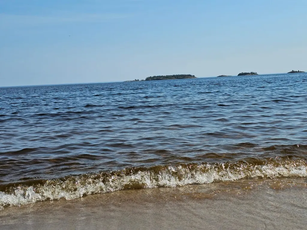 Дом в Карелии с печью-камином и видом на лес