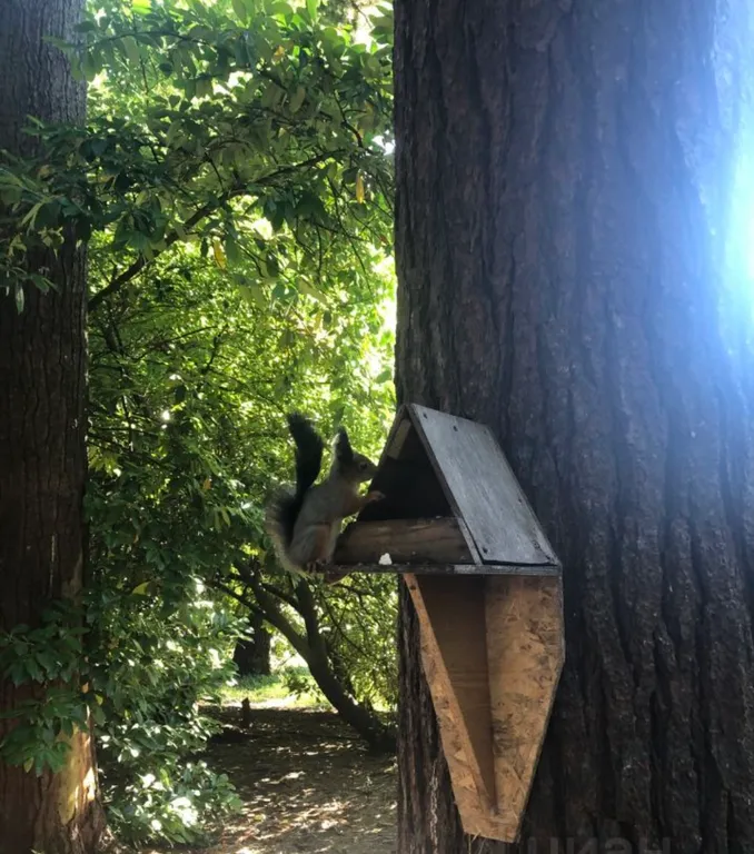 Квартира Квартира Уютный апартамент с камином у моря — Сириус