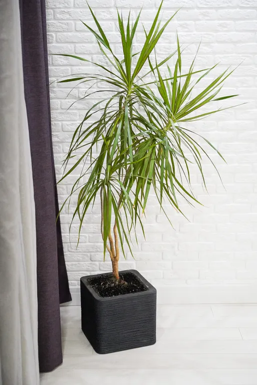 Квартира Апартаменты с шикарным видом на реку — Великий Новгород