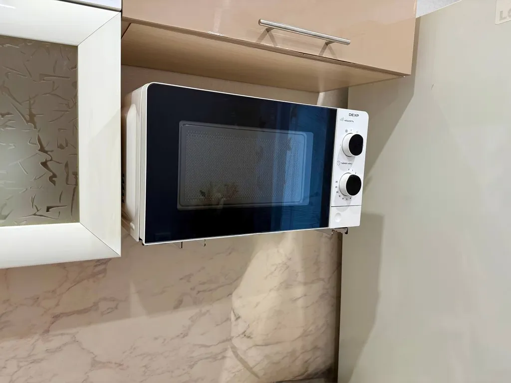 Однушка Пушкин в центре