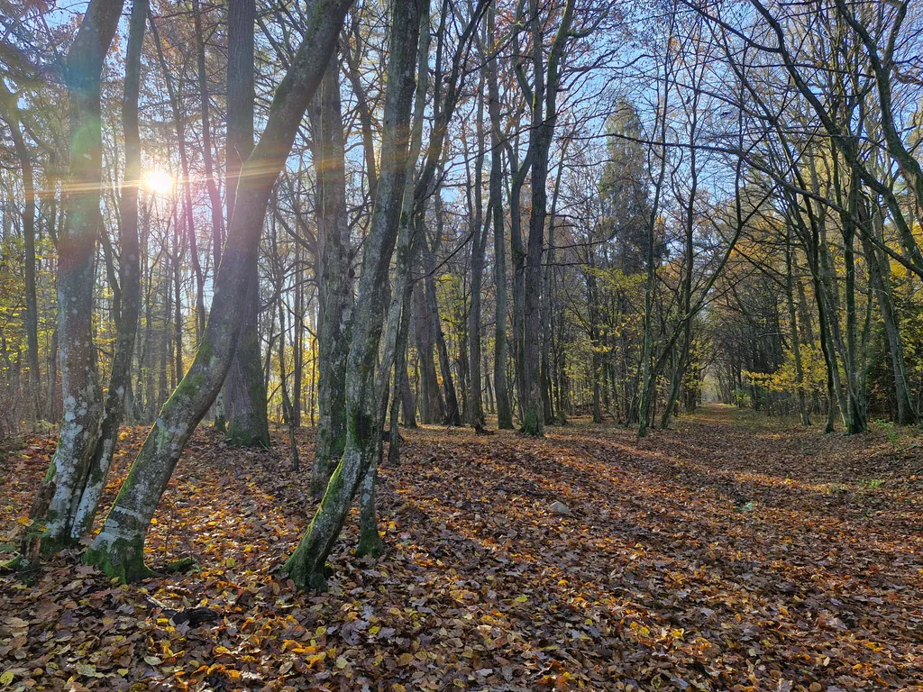 Новый стильный апартамент в шаговой доступности от моря