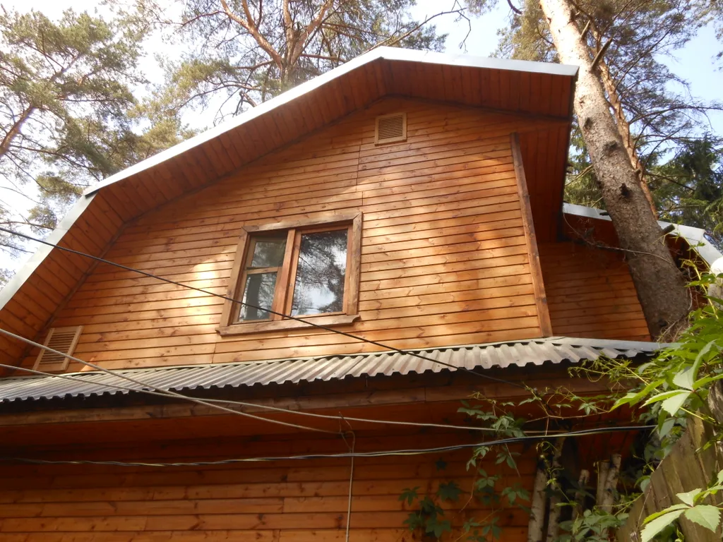 Коттедж Лана в хвойном бору на Селигере