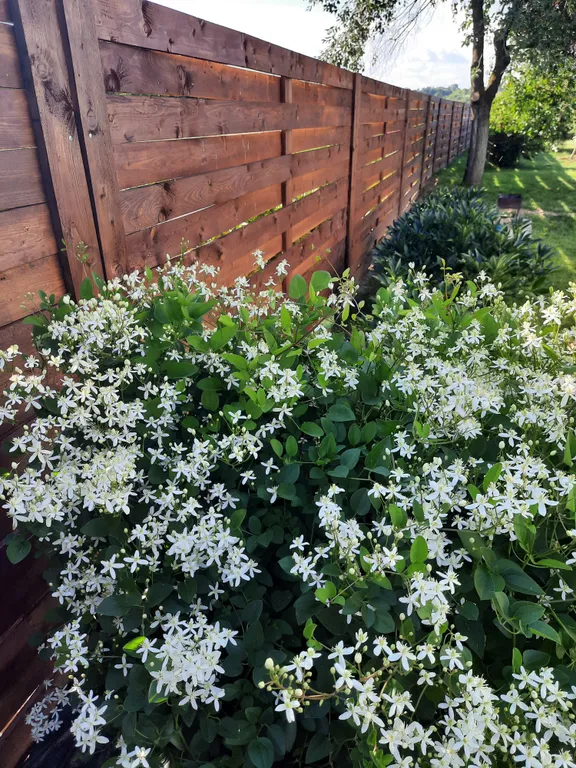 Усадьба со всеми удобствами