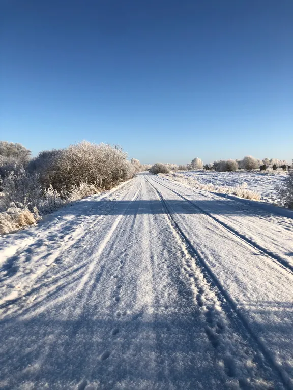 Уединенный дом у леса вблизи г.Ишим