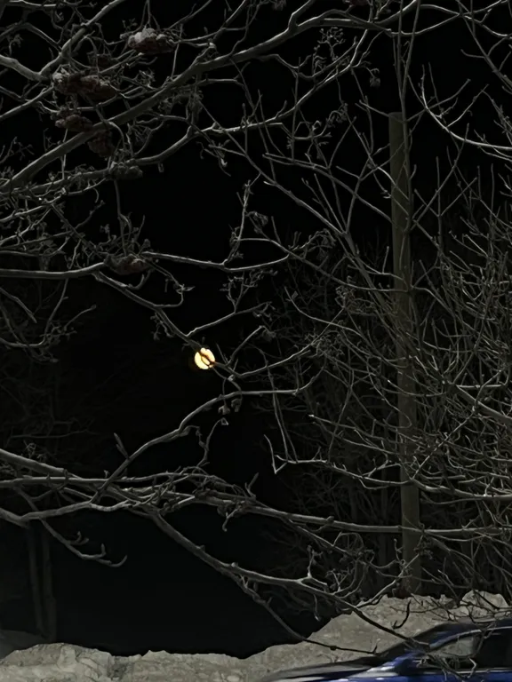 Квартира с видом на горы Хибины