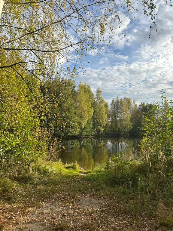 Новый дом в тихом месте