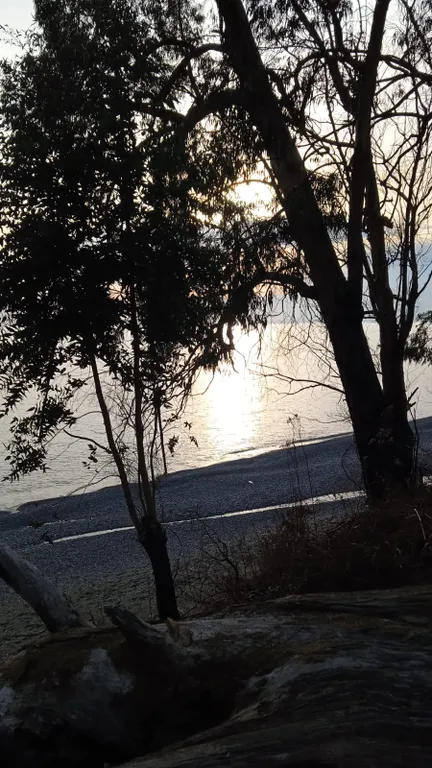 Гостевой дом на Школьной