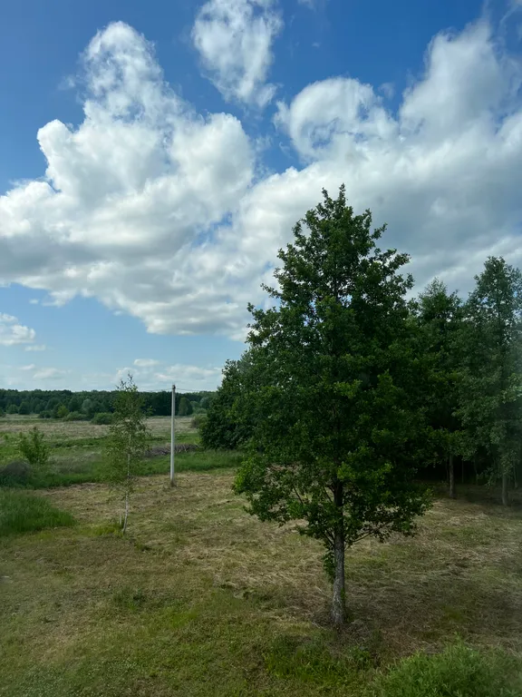 Уединенный дом с сауной внутри в окружении леса