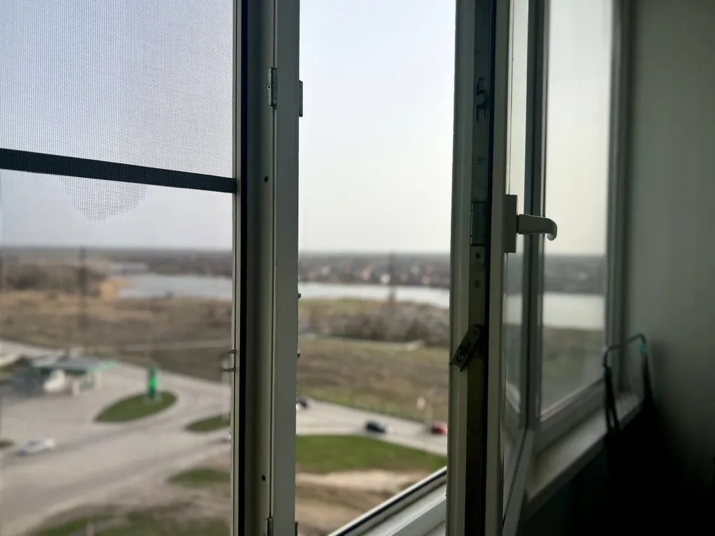 Grеen wood возле залива