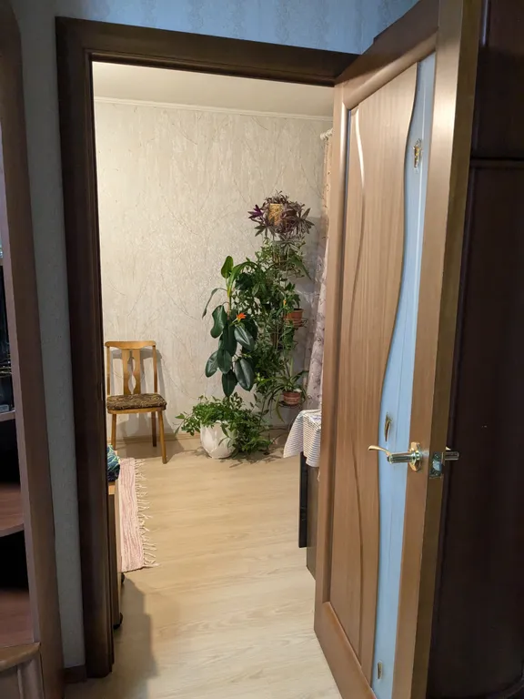 Petri Šemeikka Square apartment