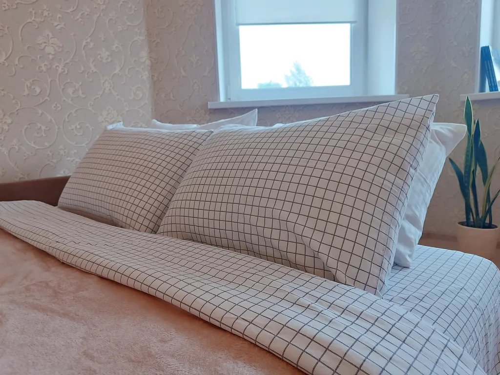 1-комнатная Квартира — аренда посуточно в Балашиха