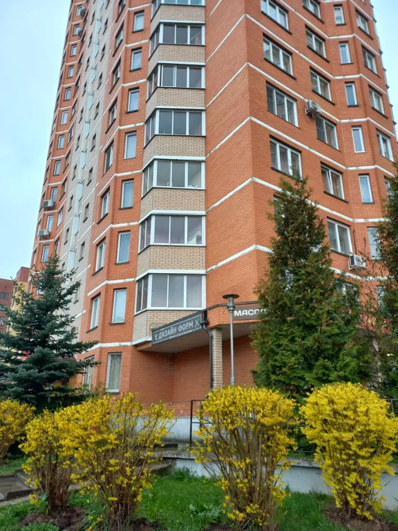 Венецианская Регата