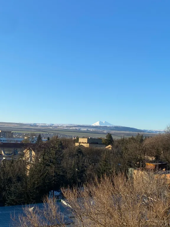 Квартира в 2 минутах от минерального источника
