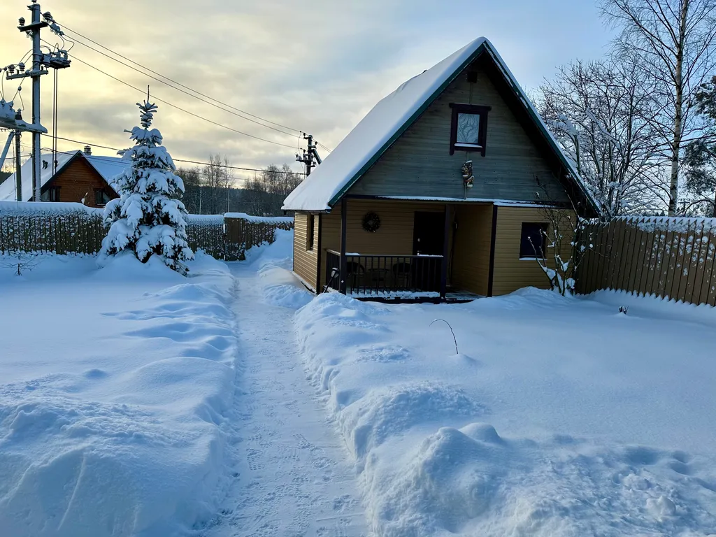 Коттедж Дом у озера и леса — Снегиревка