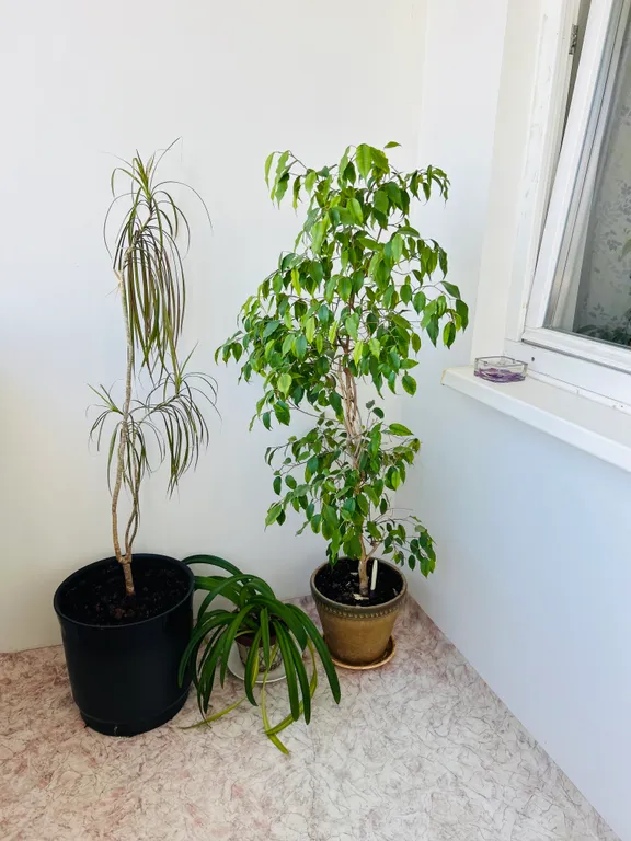 Уютная квартира для влюбленных