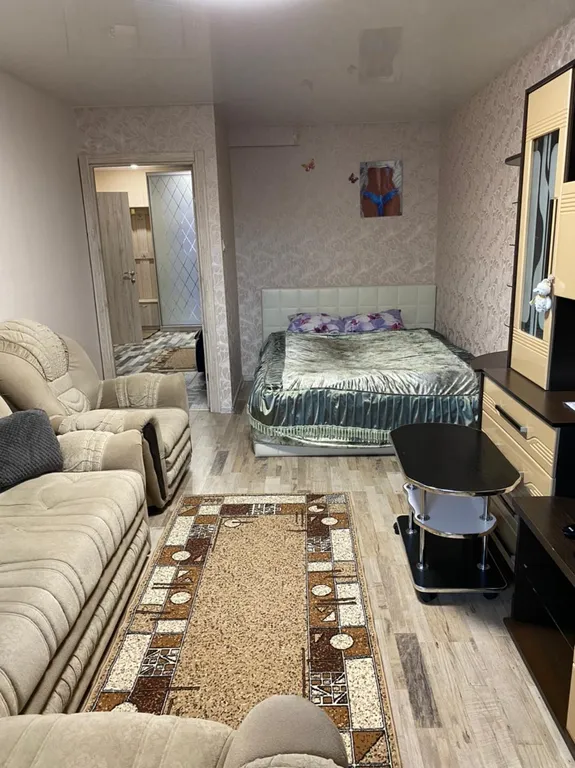 Большая уютная однокомнатная квартира в центре города