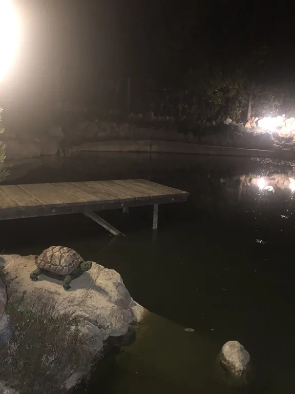 Домик у озера (с баней и сибирским чаном)