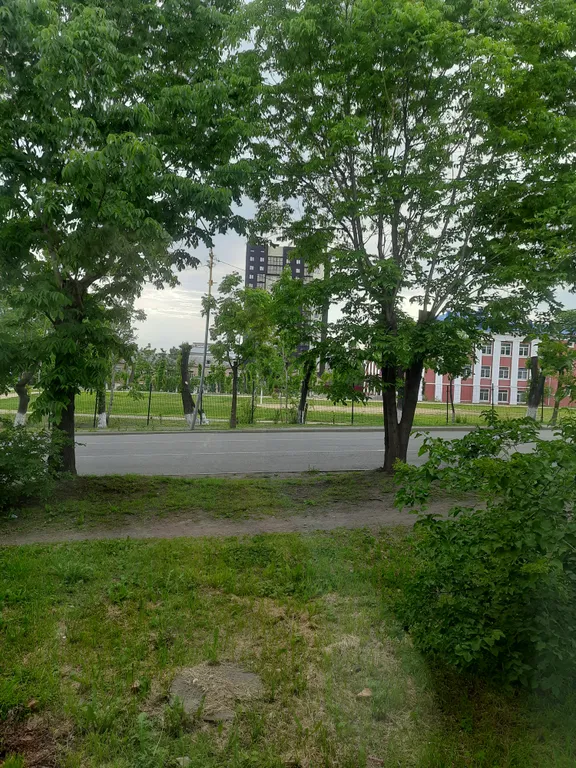 Квартира в центре