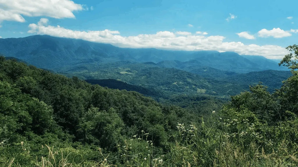 Средний домик в глэмпинге эко-ферма Гуляй поле