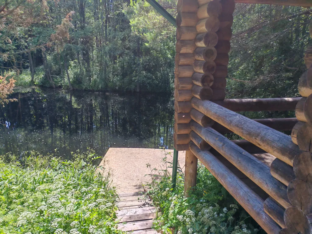 Хутор возле леса и озер