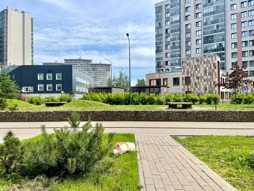 Квартира Квартира Студия комфорт Московская-Звездная Аэропорт — Санкт-Петербург