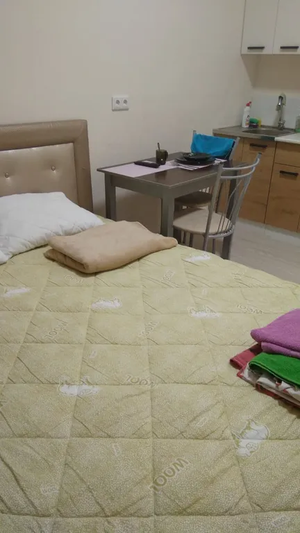 Уютная студия в самом центре