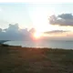 Алена