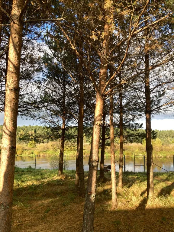 Дом на первой линии реки в тишине леса под Тверью