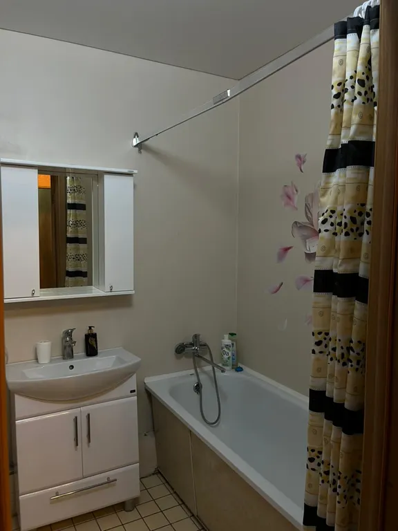 Уютная квартира на Чкалова-Калинина