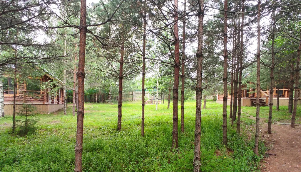 Уютный дом на лесном участке у озера, рядом с городом