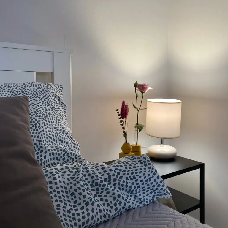 Квартира на Набережной Терека, у Мариинского театра