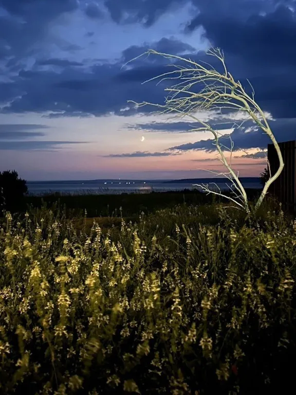 Дом на берегу Волги