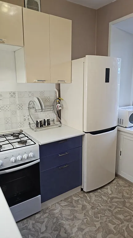 Квартира рядом с городскими прудами, Платинум ареной