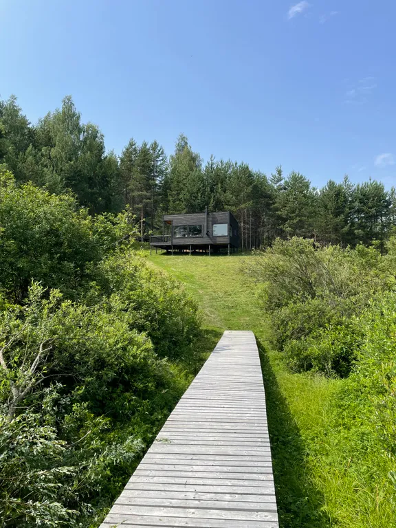 Домик в диком лесу на берегу реки