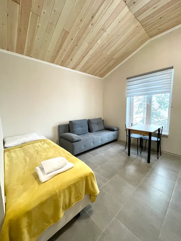 Апартамент однокомнатный на троих