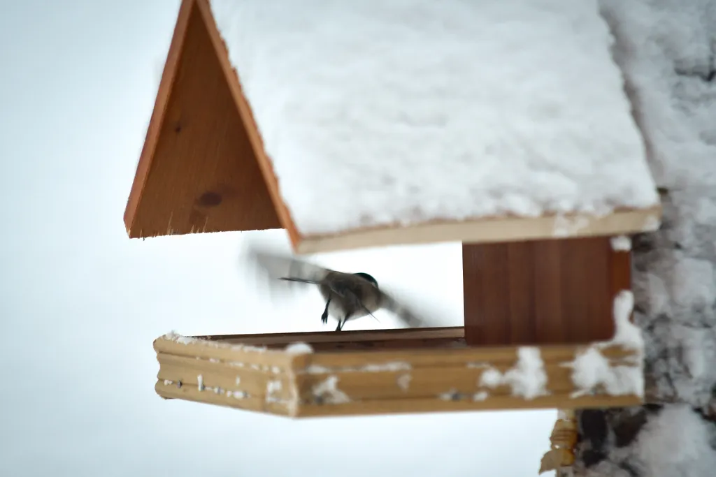 Уютный гостевой домик