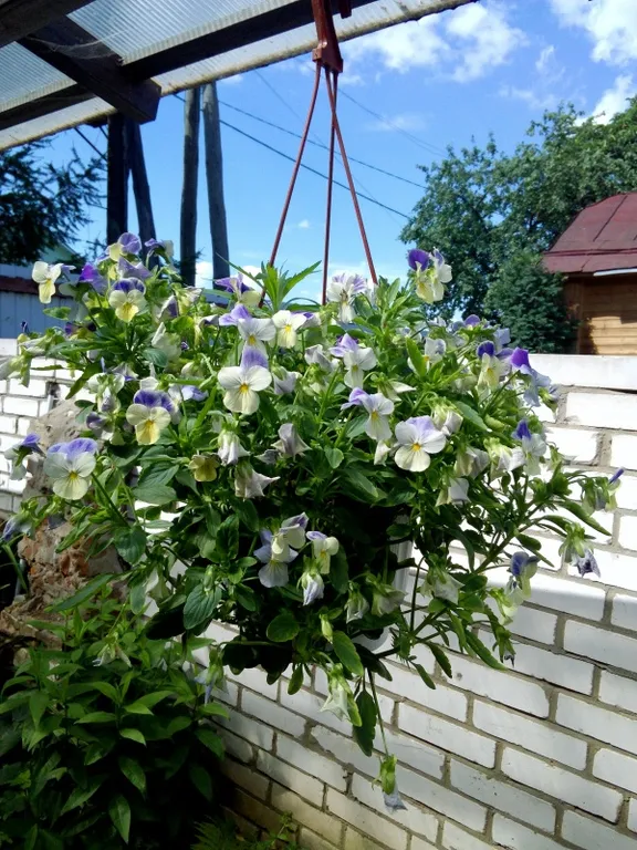 Часть жилого дома с отдельным входом