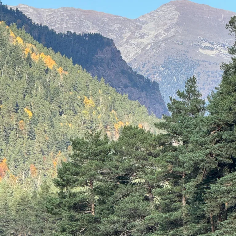 Новый коттедж