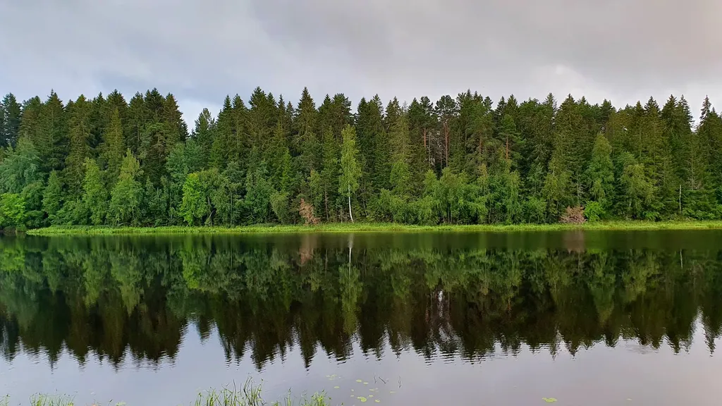 Коттедж Дом в Карелии с видом на реку — Нурмойла