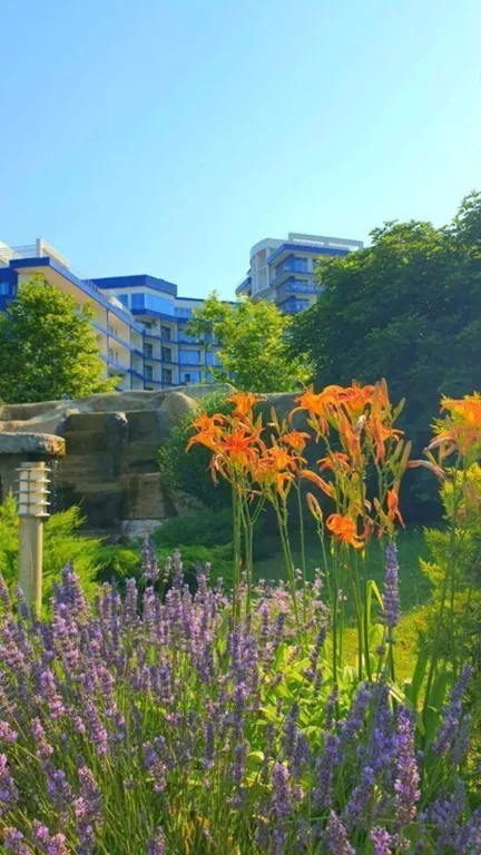 Квартира Квартира Апартaмeнты Aкваделюкс с душeвным видoм нa мope — Севастополь