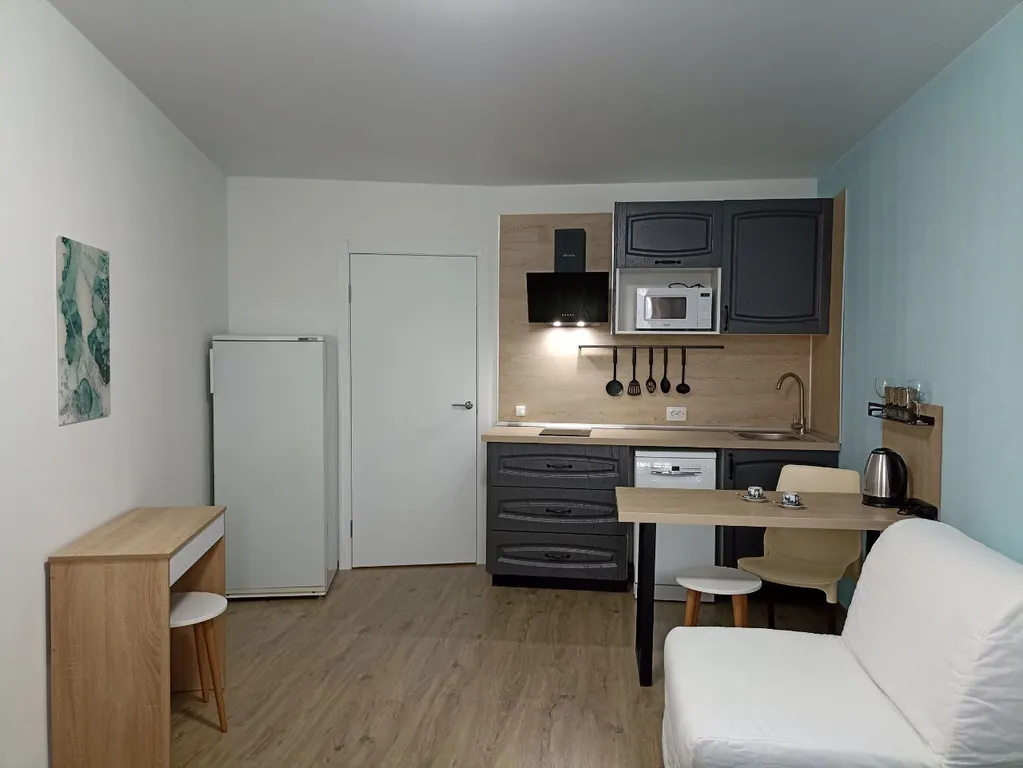 Квартира Квартира Приятная студия на Ломоносовской — Санкт-Петербург