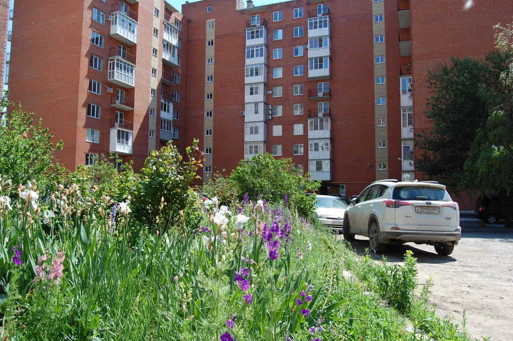 Уютная квартира возле приморского парка