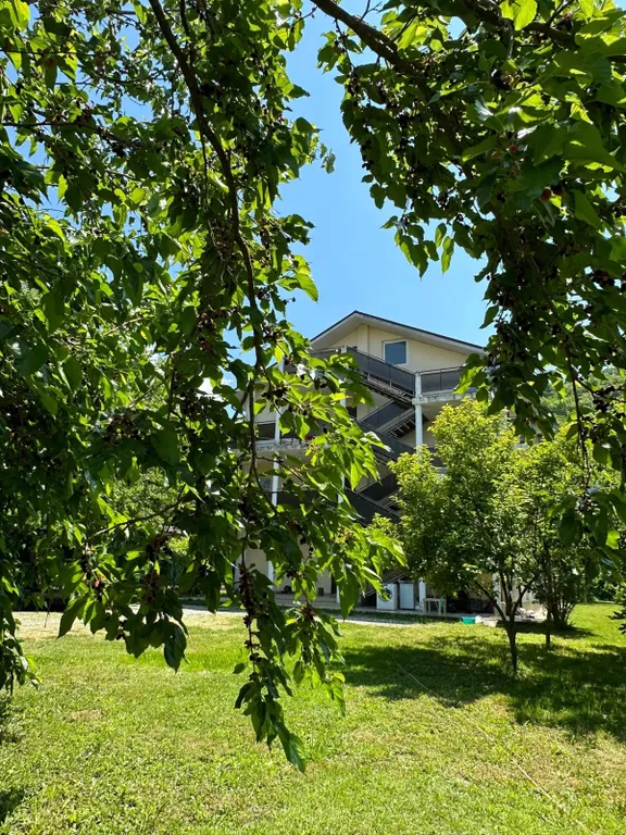 Трехместный номер с видом на сад