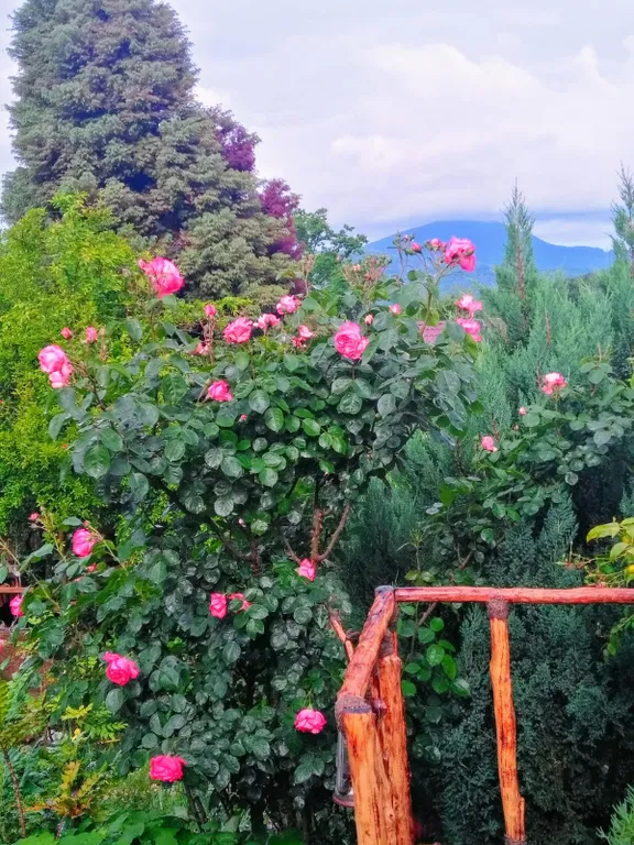 Гостевой дом Каньон Псахо