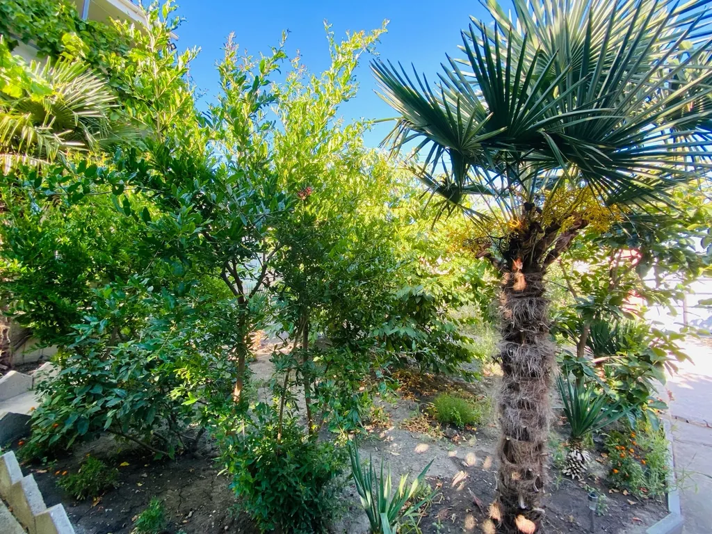 3-комнатный Дом