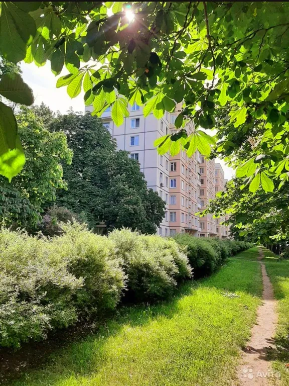 Самый красивый мост и центр рядом