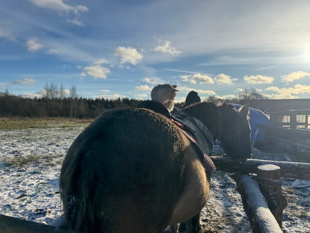 Избовье Добрыня - изба с русской печью