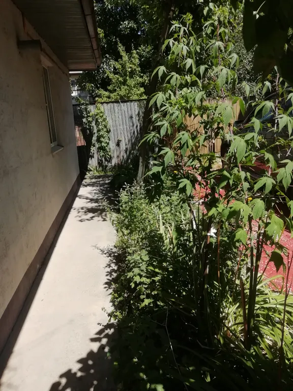 Частный домик в центре